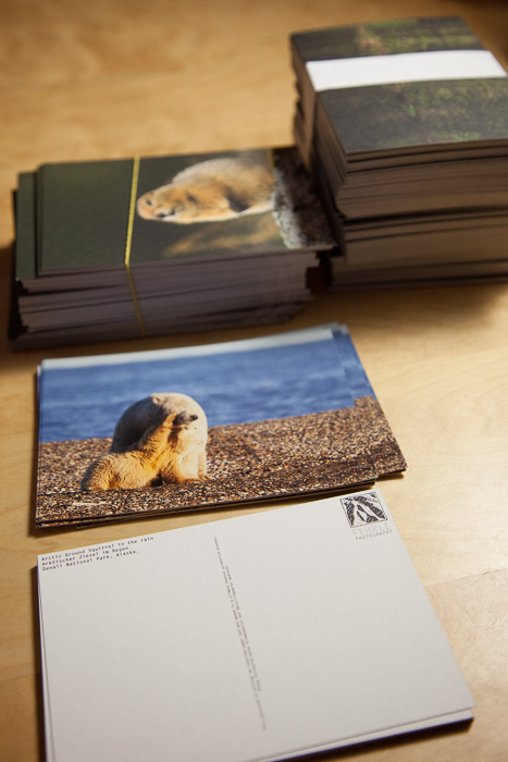 The postcards sitting on my table, waiting for you to revive the ancient art of postcard writing.